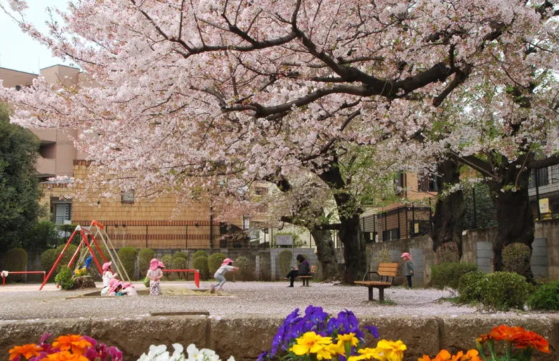 花がいっぱいの連雀児童公園