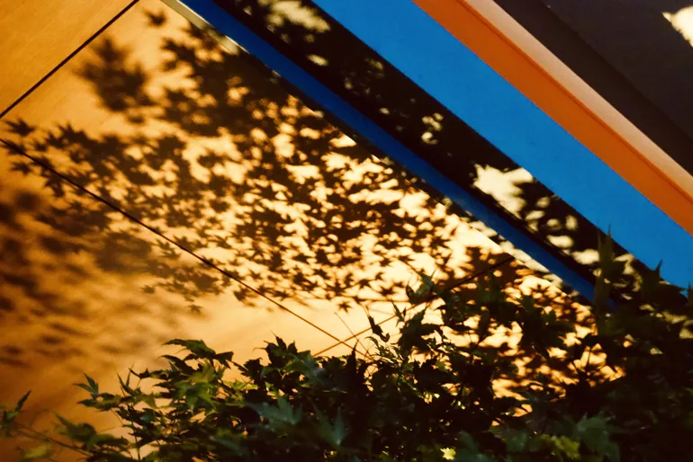 緑と影とストライプ