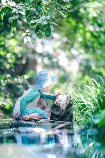 暮らしのそばの自然