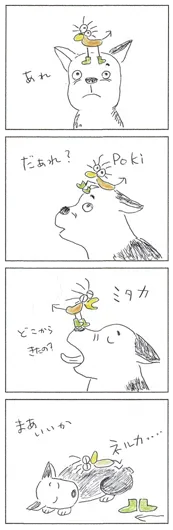 まつだ　のりこ『まあいいか』