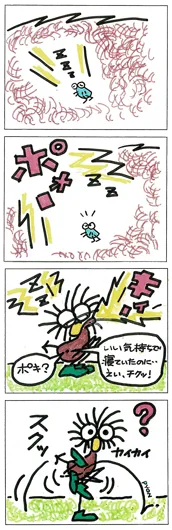 ここたん『となりのポキ』