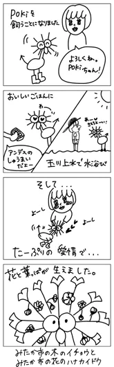 マエノユイ『pokiと暮らせば』