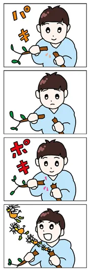 せんば『Pokiの木』