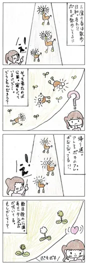 ワッサワッサ島代表（12歳）『花咲け！ポキ』