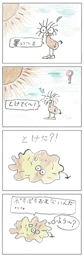 しいちゃん（9歳）『とける』