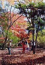 第13回 - 奨励賞 カサカサ広場で家造り