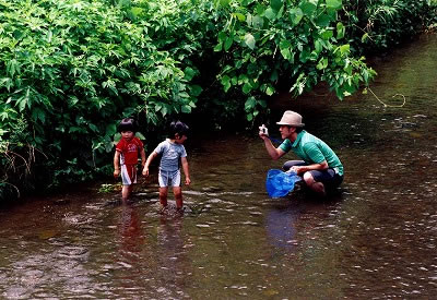 第14回 一般部門（Ａ4サイズ以上クラス） 銅賞 野川で遊ぶ親子