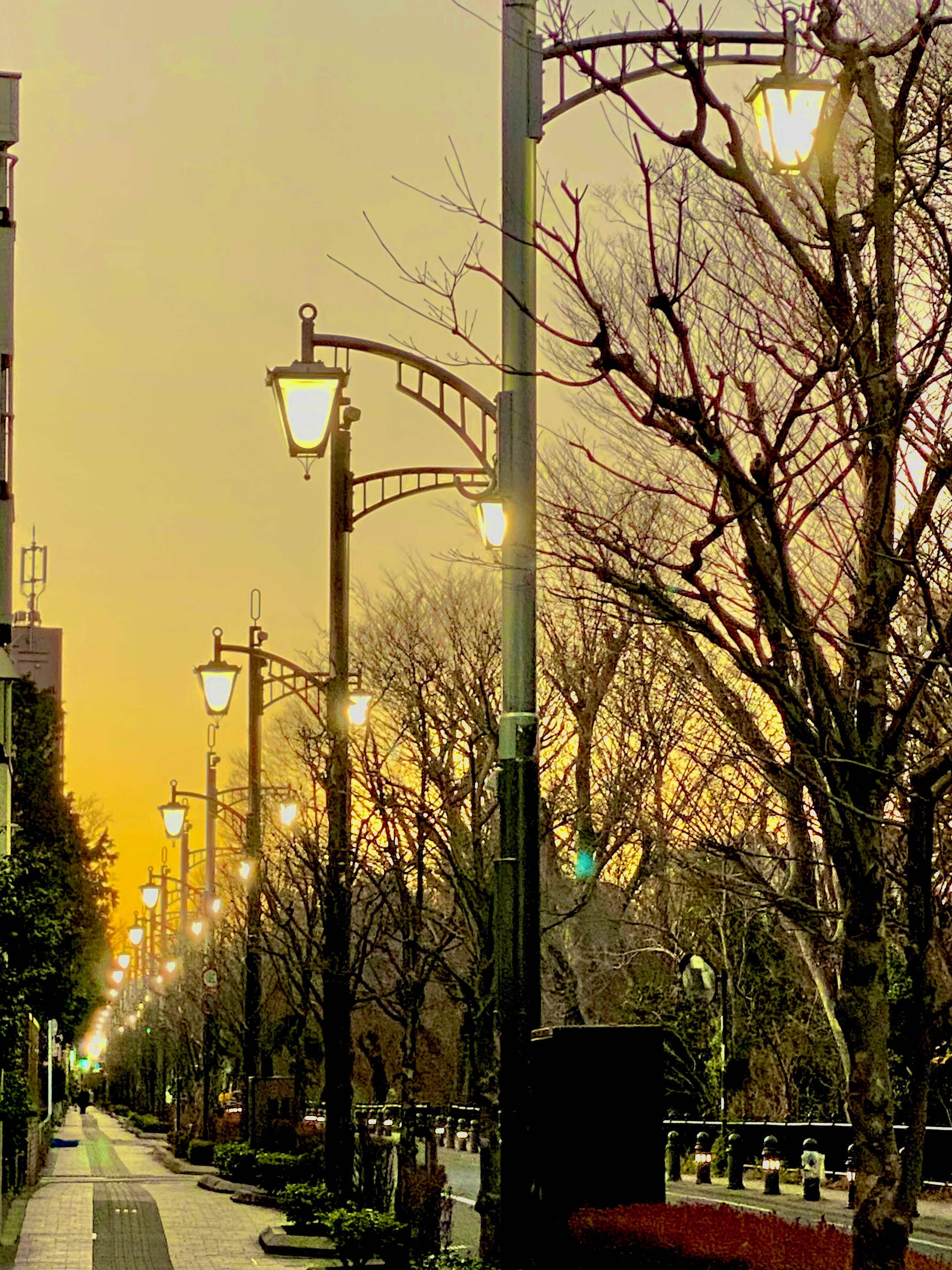 住んでよし訪れてよしのまち三鷹 賞風の散歩道の夕暮れ