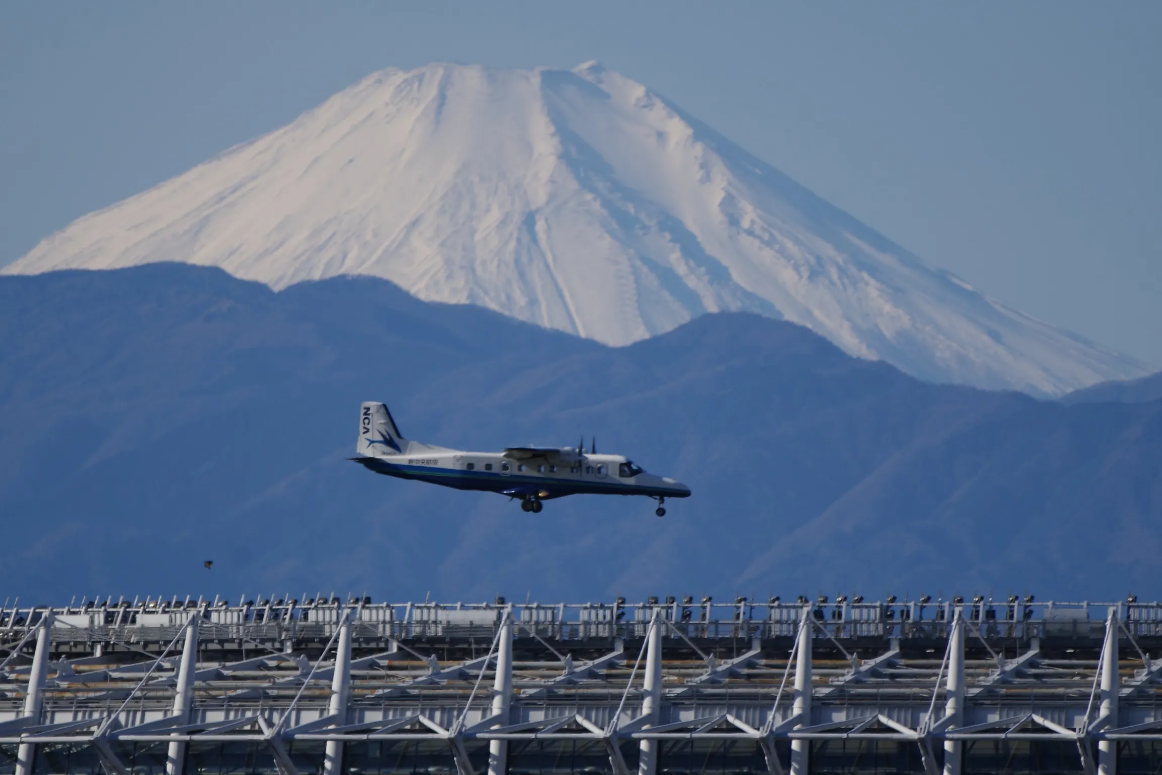 銀賞1井上 雅嗣さん作品名：今年もよいことがありますようにの写真
