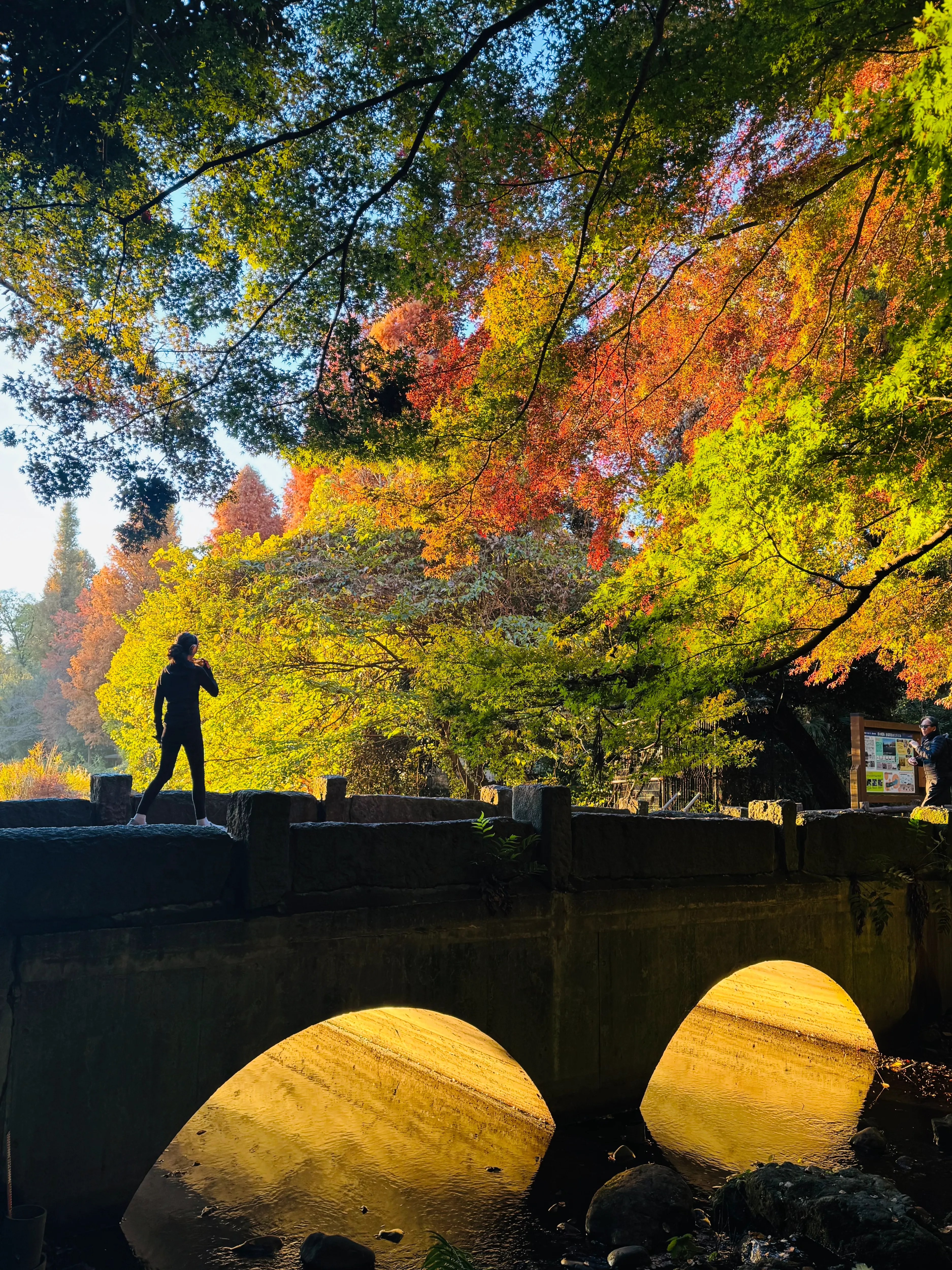 銀賞2大島 宏之さん作品名：誰もが立ち止まりたくなる散歩道の写真