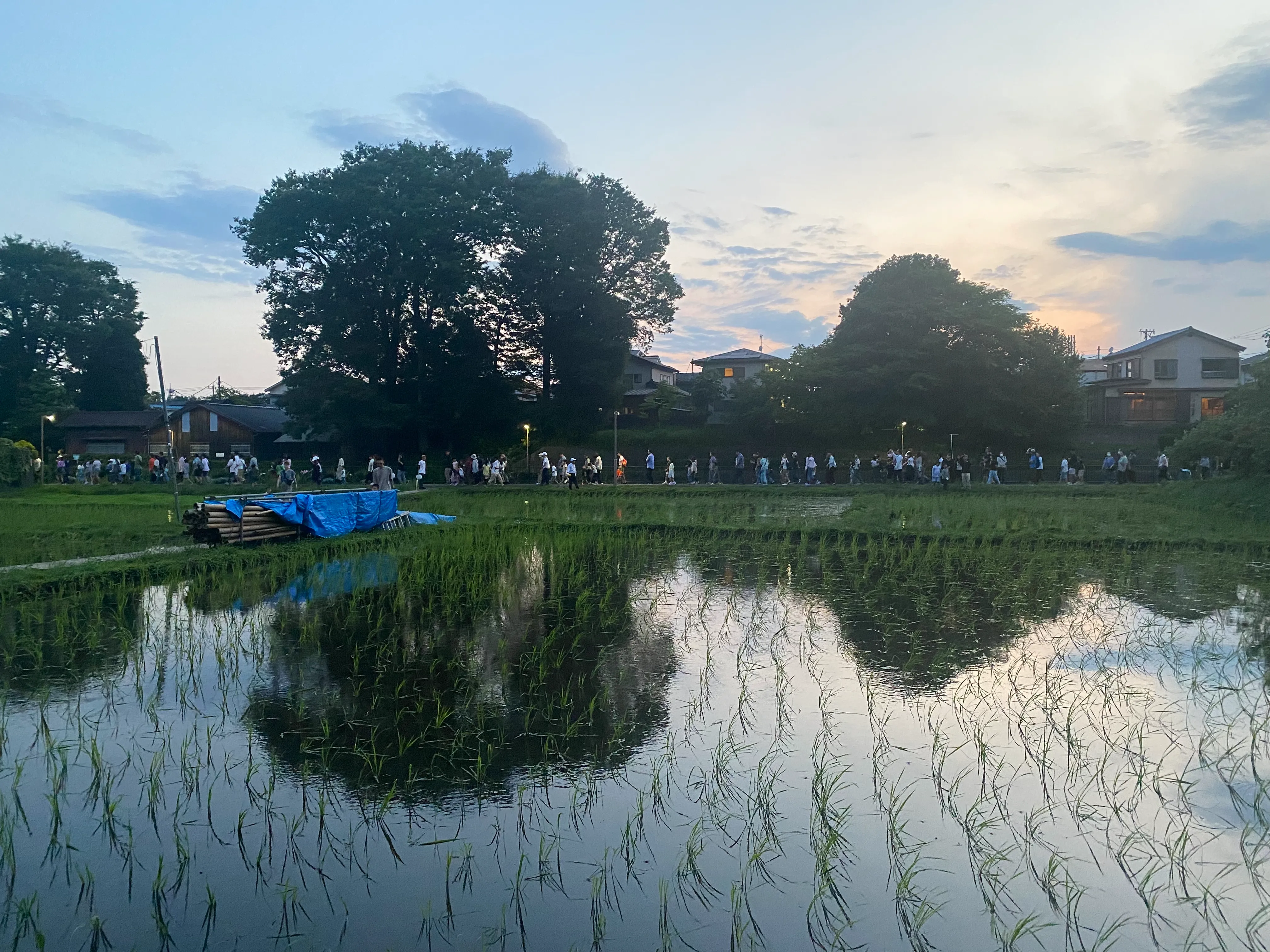 三鷹の魅力賞 青木 航太さん作品名：早苗饗（さなえぶり）の写真