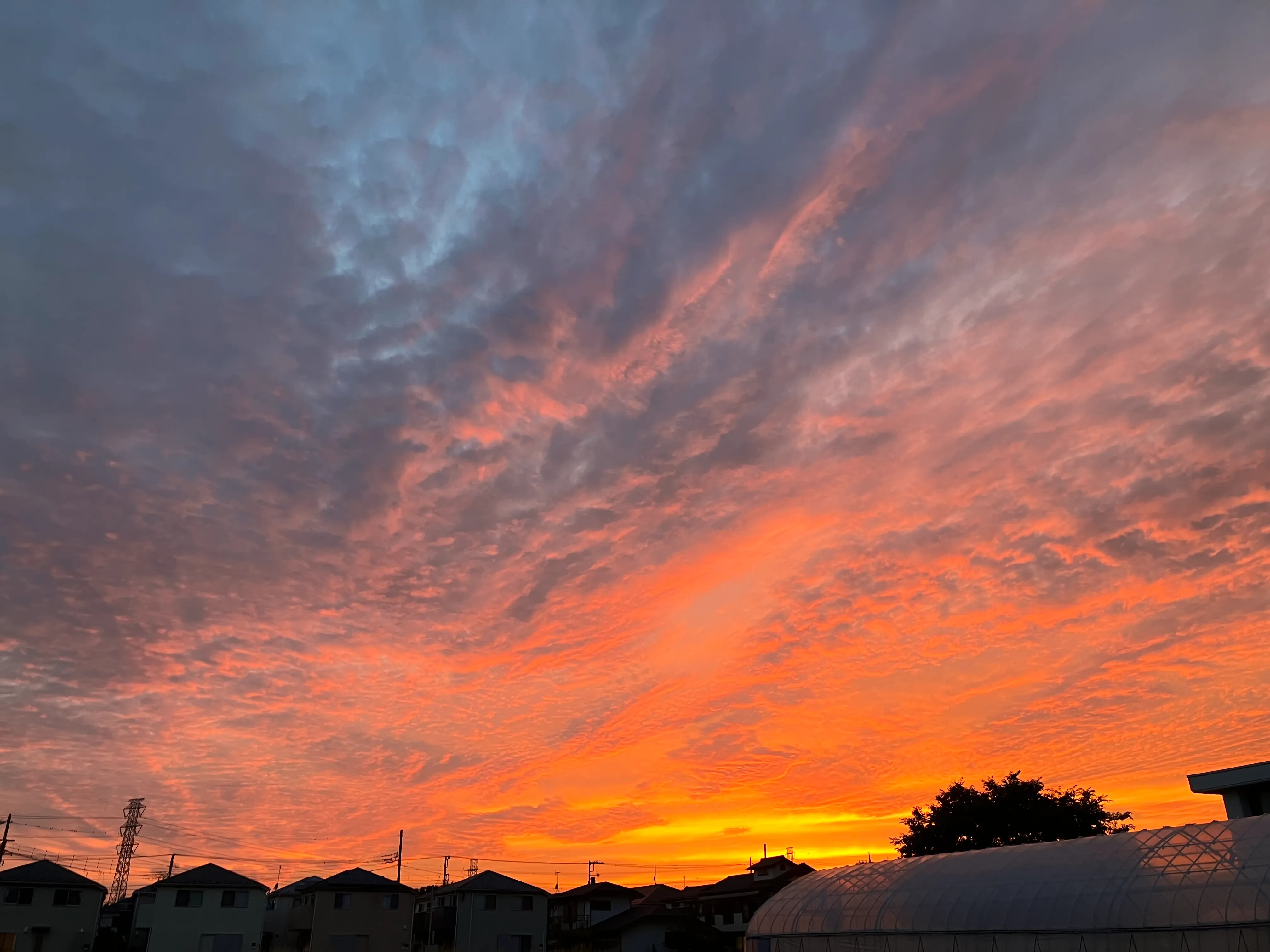 未来の写真家賞3永島 結稀さん作品名：明日には。の写真