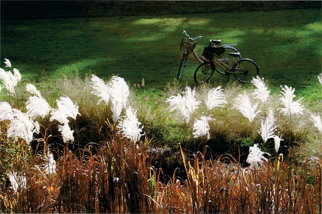 「二人は何処？」川辺 久美子さん（2003年）撮影場所：野川