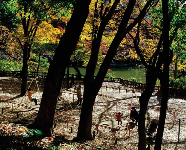 「秋の公園」本橋　省吾さん（2010年）撮影場所：井の頭公園
