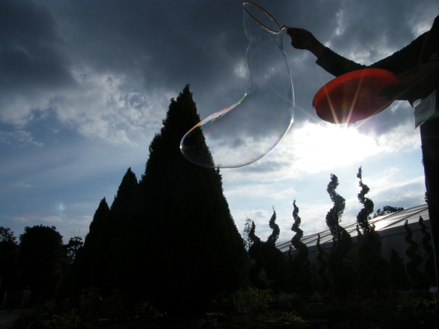 「くねくねビヨ～ン！」大島　宏士郎さん（2012年）撮影場所：井の頭公園西園　全国都市緑化フェア会場