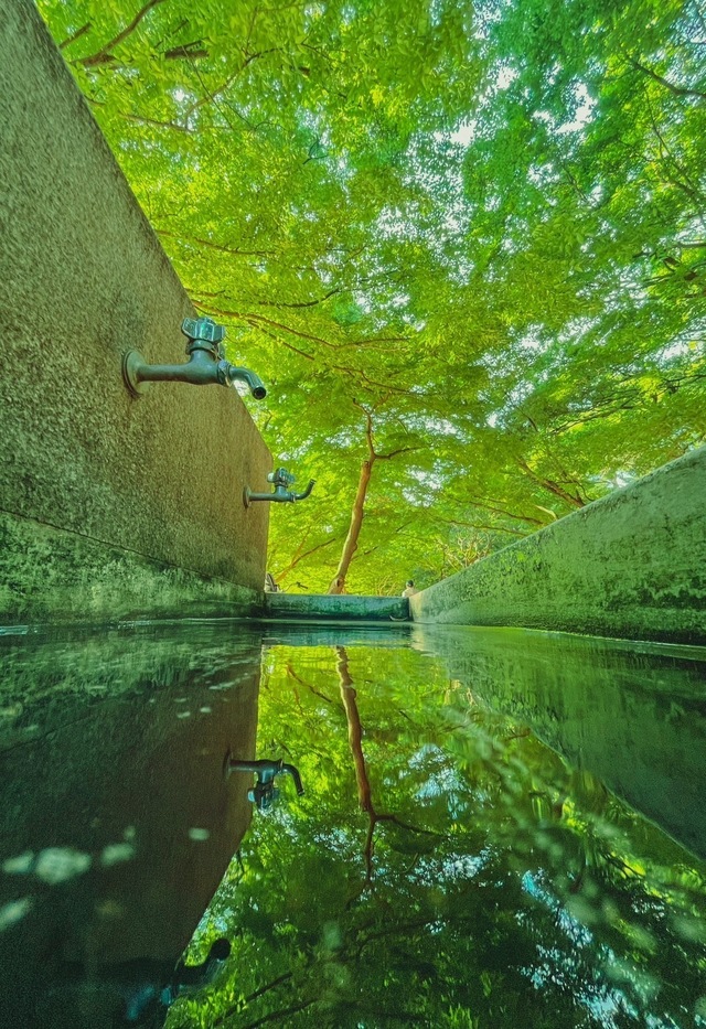 「緑」永井 碧人さん（2022年）撮影場所：井の頭公園 西園