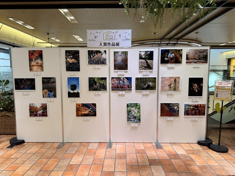 アトレヴィ三鷹での展示