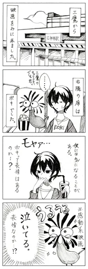 入選：白文鳥（13歳）『感動したよ。』