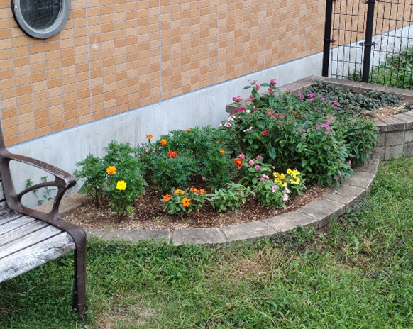 花いっぱい運動2