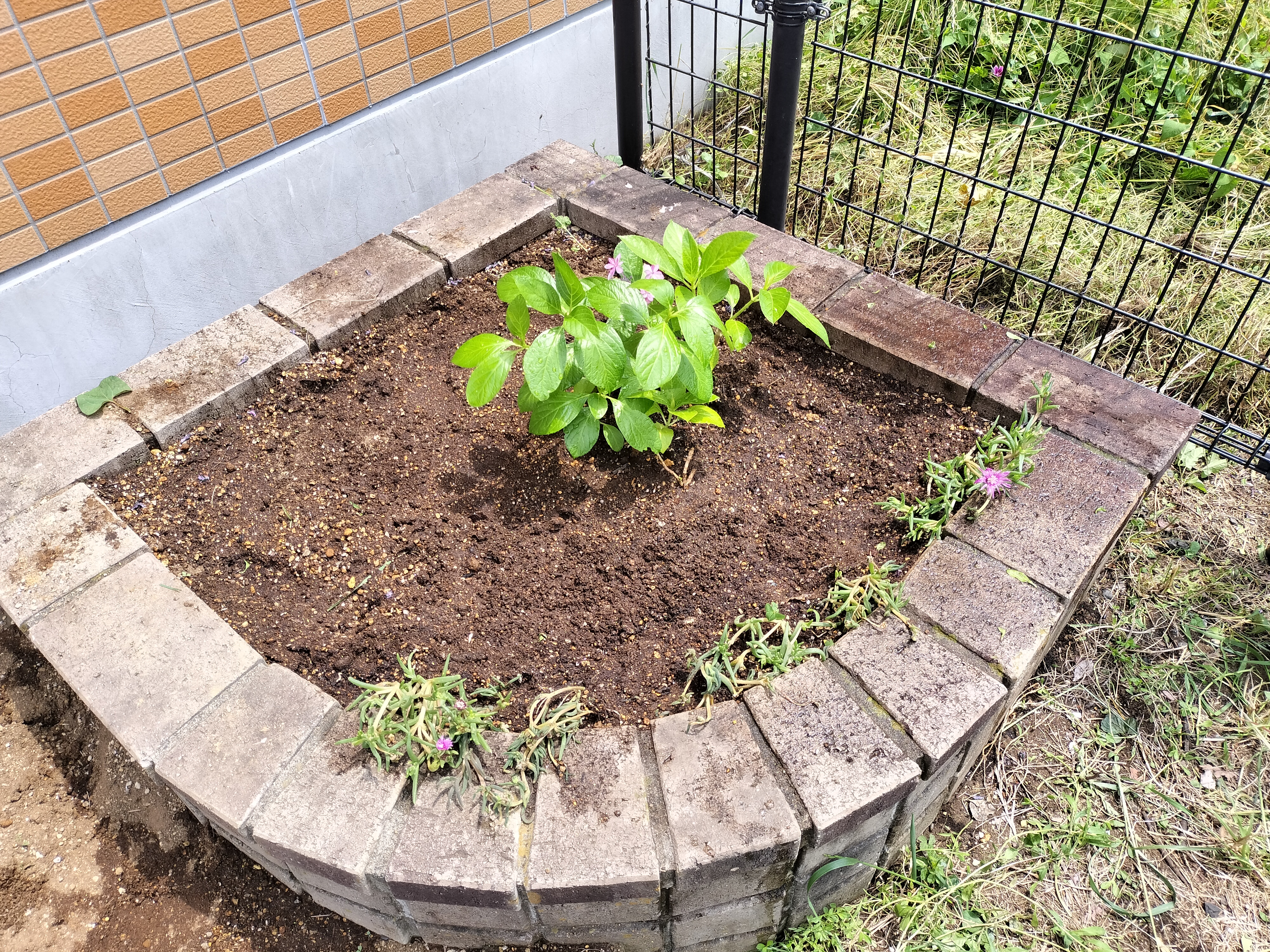 ポケットパーク