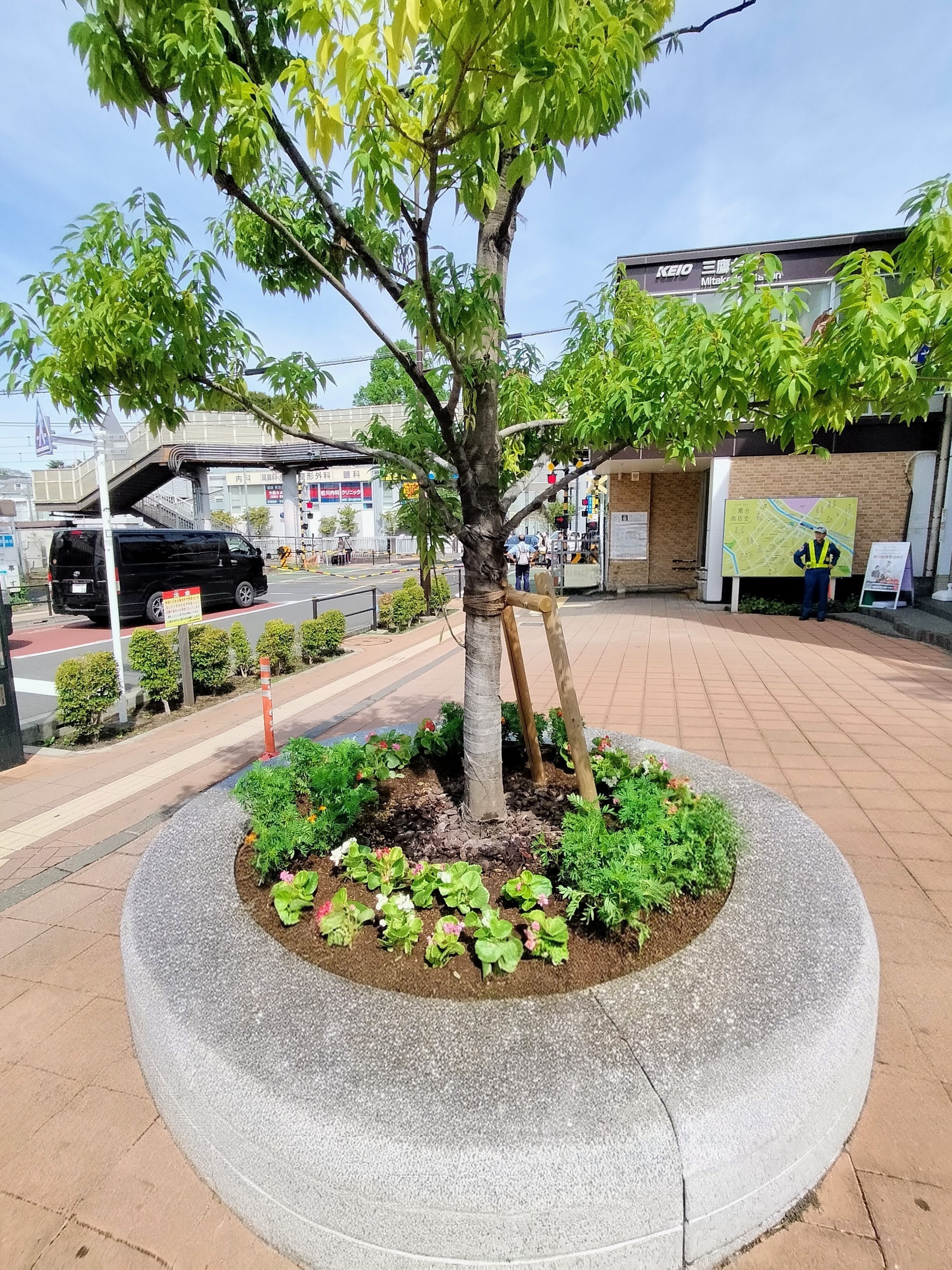 ツリーサークル2