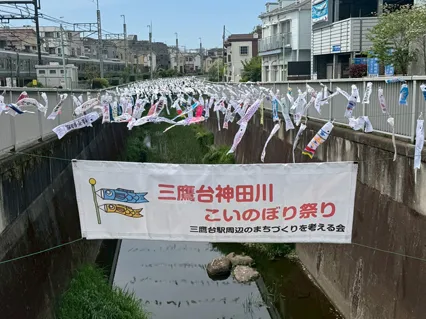 鯉のぼり